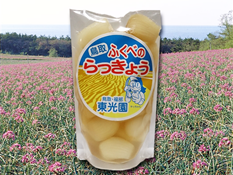 東光園・鳥取市・梨狩り・二十世紀梨