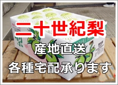 東光園・鳥取市・梨狩り・二十世紀梨
